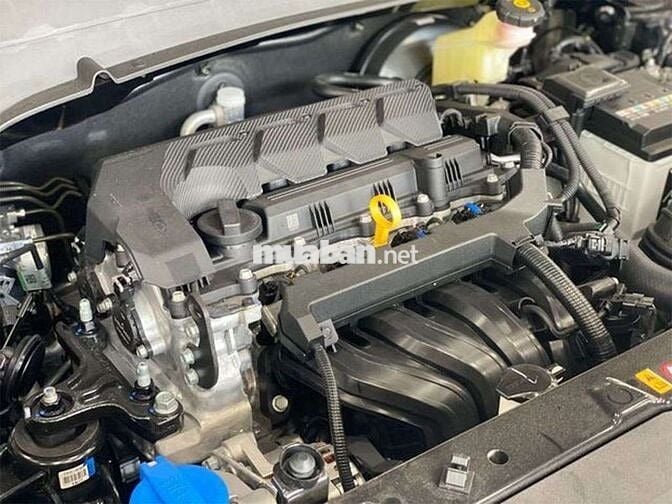 2023 1.5 Đặc biệt  - 20000 km