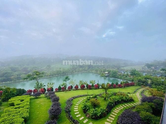 Cơ Hội Vàng - Lô Đất Đẹp Giá Rẻ Bất Ngờ