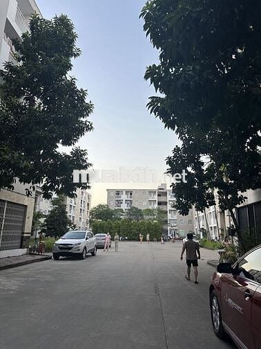 Xả lỗ chung cư về quê trồng rau