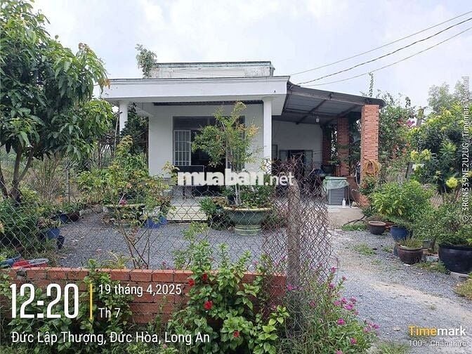 Nhà Đất 10 x 60 full thổ chính chủ