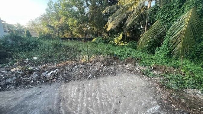 Bán nền full thổ 4,5m x 18m, hẻm ô tô, KDC nhà phố hiện hữu đông đúc