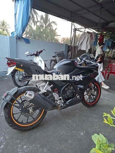 đông hưng- Thái bình