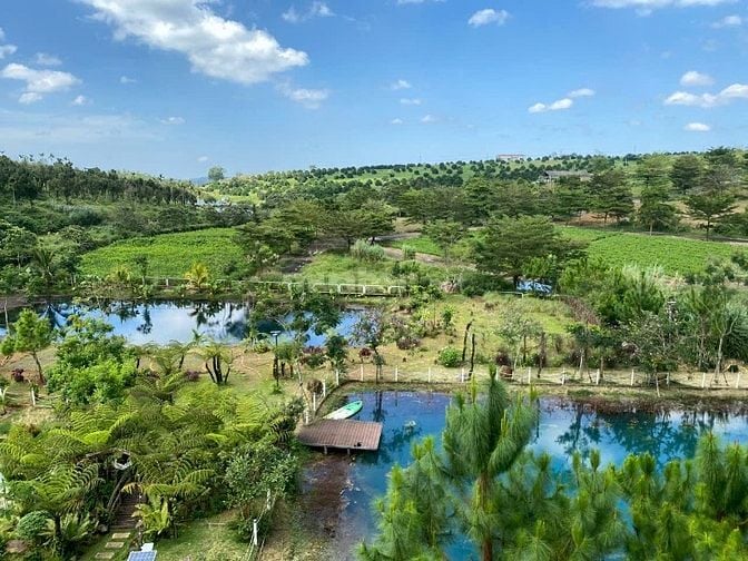 Cơ Hội Vàng - Lô Đất Đẹp Giá Rẻ Bất Ngờ