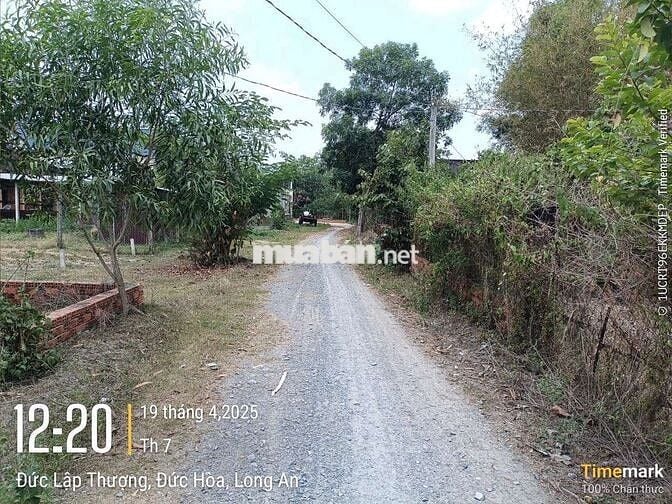 Nhà Đất 10 x 60 full thổ chính chủ