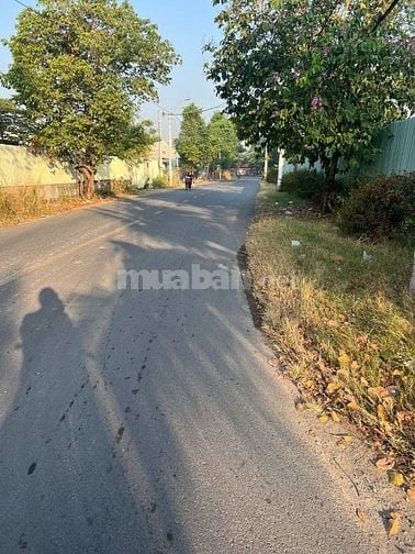 1086m2 thổ cư Hóc Môn đường Võ Thị Đầy gần Đặng Thúc Vịnh