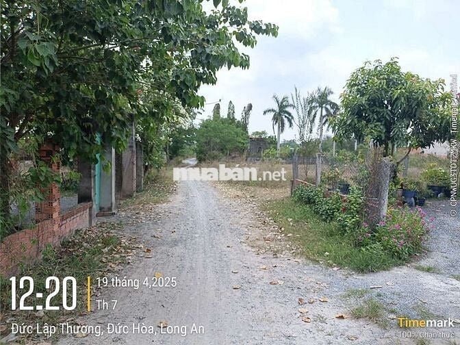 Nhà Đất 10 x 60 full thổ chính chủ