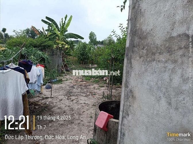 Nhà Đất 10 x 60 full thổ chính chủ