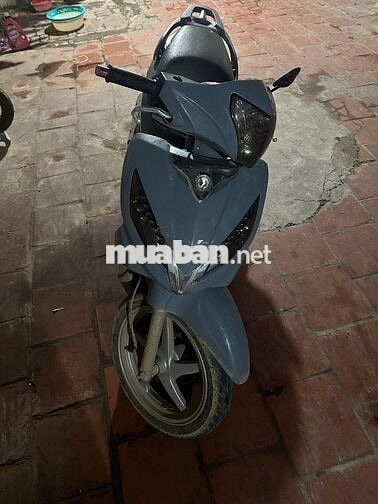 shark 125 máy êm không rung lắc