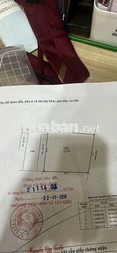 Chính chủ cần bán đất trông cây lâu năm Bình Chánh, HCM, DT 1.062m2
