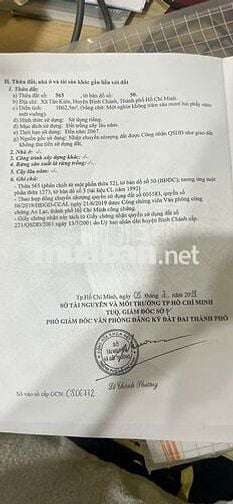 Chính chủ cần bán đất trông cây lâu năm Bình Chánh, HCM, DT 1.062m2