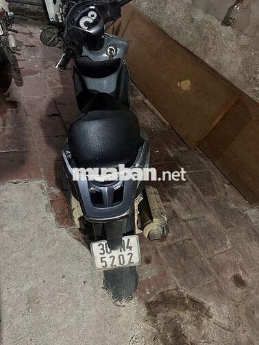 shark 125 máy êm không rung lắc