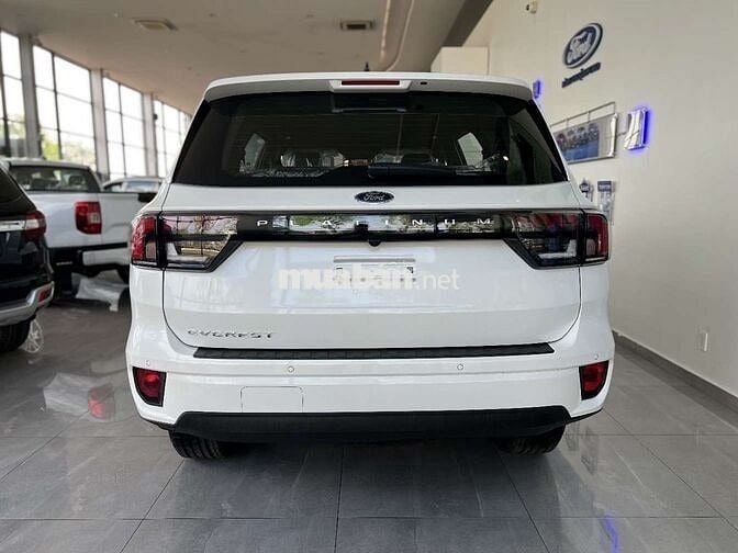 2025 Platinum 2.0L 4x4 AT