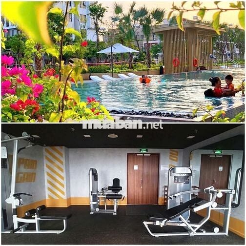 CHO THUÊ MẶT BẰNG KINH DOANH CHUNG CƯ PICITY HIGH PARK QUẬN 12 🍀