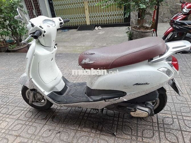 SYM Elizabeth màu Trắng