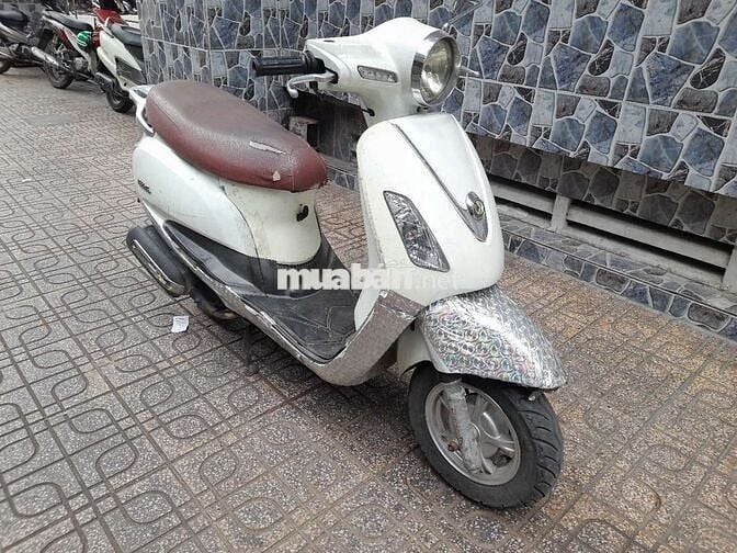 SYM Elizabeth màu Trắng