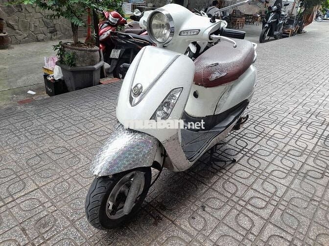 SYM Elizabeth màu Trắng