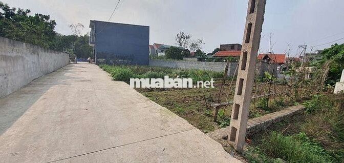 Bán đất Chương Dương vin olympic