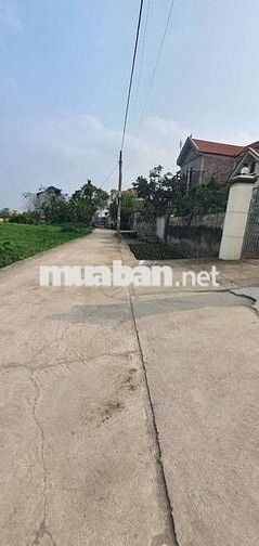 Bán đất Chương Dương vin olympic