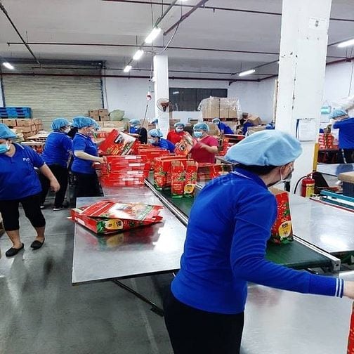 Việc gần Tết : cần gấp 4 LĐPT đóng gói , dán tem tại Tân Phú