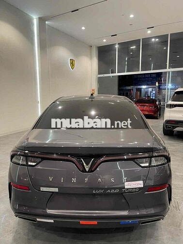 Lux A Premium nội thất da bò