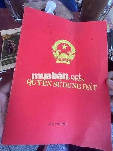 Đất 100m2 ngang 5m MT trục thôn Bạch Mai, Đồng Thái 3,25 tỷ