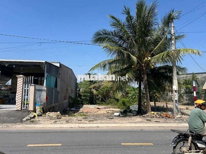 MẶT TIỀN NGUYỄN HUÊ- TÂn HỒNG- ĐỒNG THÁP