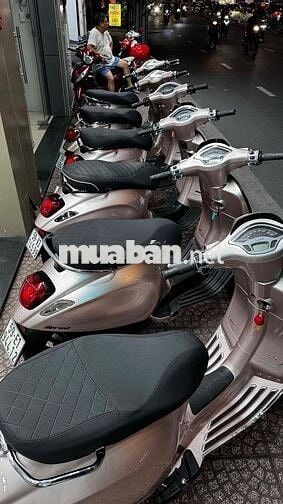 Vespa Sprint Vàng đồng TFT & Hồng Poecher