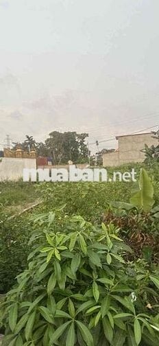 Đất sổ đỏ chính chủ Xích Thổ, An Hải, HP