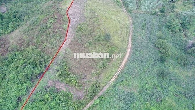 Bán Đất Rộng 7890m2 Có 230m Mặt Đường