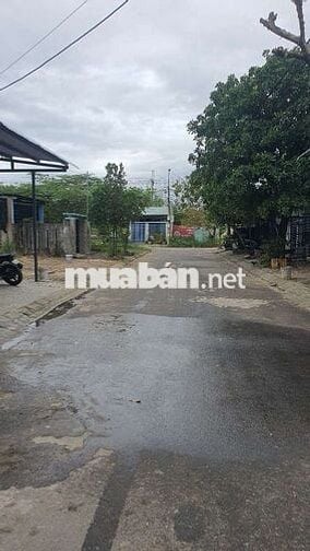 Hướng Đông Nam Mát Mẻ Cả Ngày , Ngay 9 Tòa ECOHOME , Đã Khởi Công