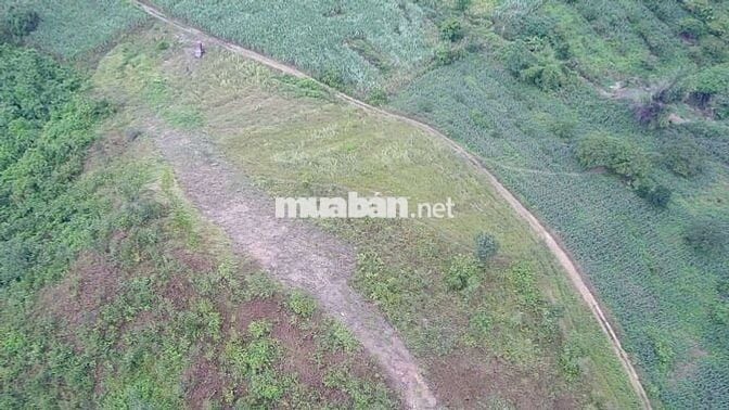 Bán Đất Rộng 7890m2 Có 230m Mặt Đường