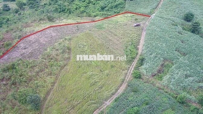 Bán Đất Rộng 7890m2 Có 230m Mặt Đường