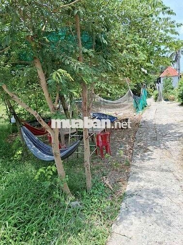 cần bán đất 1842m2 ở xã Lạc Tấn , Tân Trụ , Long An