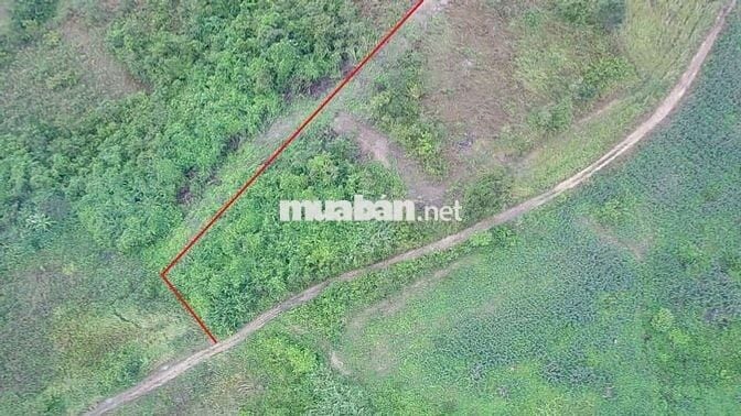 Bán Đất Rộng 7890m2 Có 230m Mặt Đường