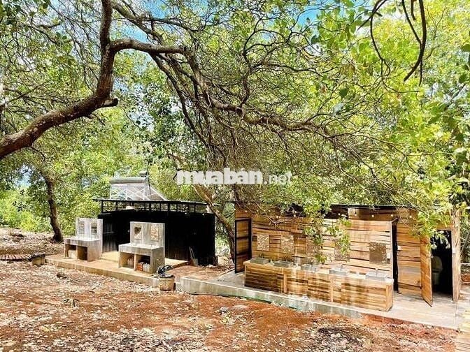 🌿CHỈ 995 TRIỆU/1100m² VƯỜN CỔ THỤ ĐẤT BAZAN, ÔM SUỐI - VIEW HỒ TRỊ AN