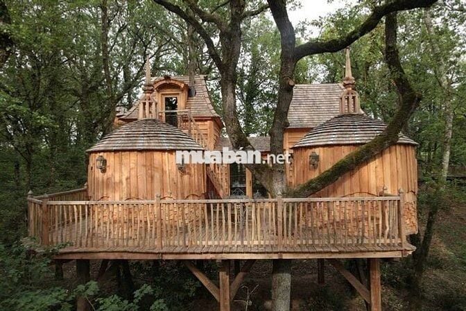 🌿CHỈ 995 TRIỆU/1100m² VƯỜN CỔ THỤ ĐẤT BAZAN, ÔM SUỐI - VIEW HỒ TRỊ AN