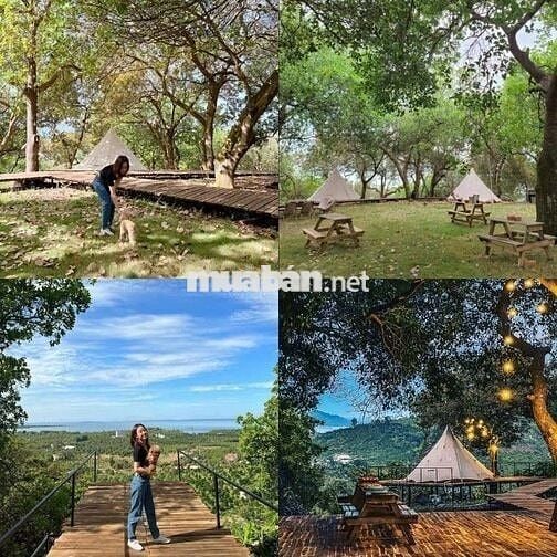 🌿CHỈ 995 TRIỆU/1100m² VƯỜN CỔ THỤ ĐẤT BAZAN, ÔM SUỐI - VIEW HỒ TRỊ AN