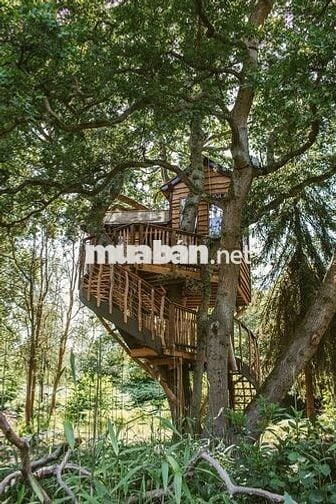 🌿CHỈ 995 TRIỆU/1100m² VƯỜN CỔ THỤ ĐẤT BAZAN, ÔM SUỐI - VIEW HỒ TRỊ AN