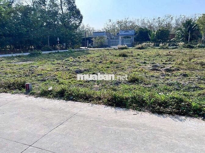 🚗 ĐẤT 2 MẶT TIỀN ĐƯỜNG BÊ TÔNG – FULL THỔ CƯ – GẦN KCN HIỆP THẠNH