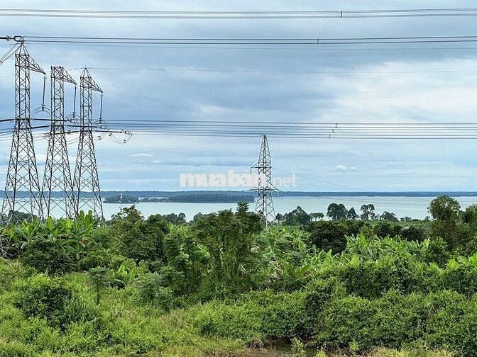 🌿CHỈ 995 TRIỆU/1100m² VƯỜN CỔ THỤ ĐẤT BAZAN, ÔM SUỐI - VIEW HỒ TRỊ AN