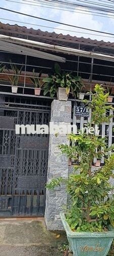 🏠 CHO THUÊ PHÒNG TRỌ - PHÚ HÒA ĐÔNG, CU CHI ,HỒ CHÍ MINH