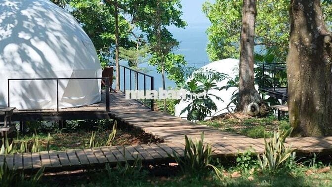 🌿CHỈ 995 TRIỆU/1100m² VƯỜN CỔ THỤ ĐẤT BAZAN, ÔM SUỐI - VIEW HỒ TRỊ AN