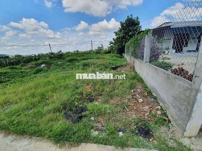 Bán đất long an ngay kcn hoà bình,cổng chào thủ thừa