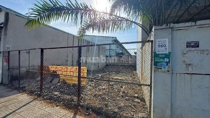 Đất thổ cư 8x19m - sổ riêng - Khu dân cư Thạnh Phú, Vĩnh Cửu, Đồng Nai