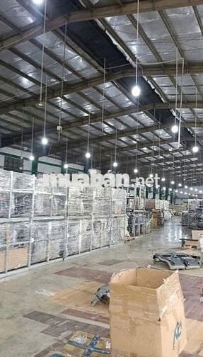 CHO THUÊ KHO XƯỞNG MỚI 8774M2 TÂN PHÚ TRUNG, CỦ CHI