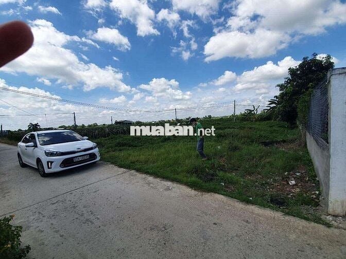 Bán đất long an ngay kcn hoà bình,cổng chào thủ thừa