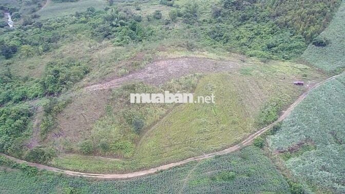 Bán Đất Rộng 7890m2 Có 230m Mặt Đường