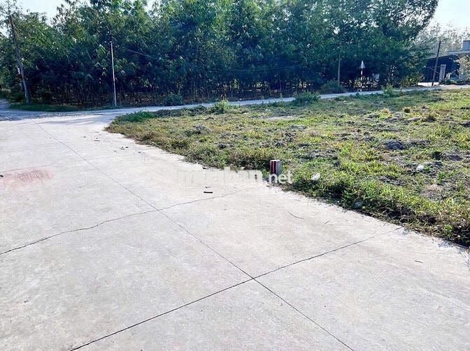 🚗 ĐẤT 2 MẶT TIỀN ĐƯỜNG BÊ TÔNG – FULL THỔ CƯ – GẦN KCN HIỆP THẠNH