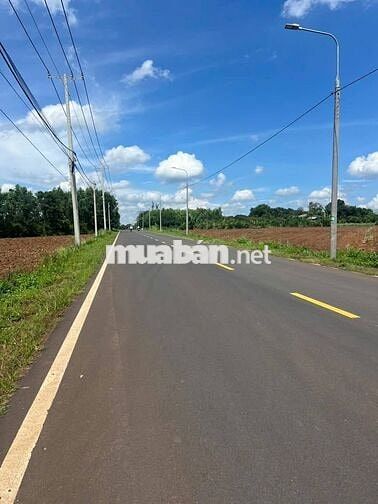 Bán vườn trái cây tại Thống Nhất diện tích  1200m2 chỉ 995 triệu