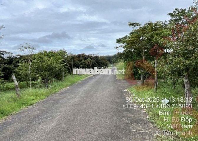 Bán đất 1.865m²  3.2 tỷ tại Xã Tân Thành Huyện Bù Đốp, Thổ cư 100m2